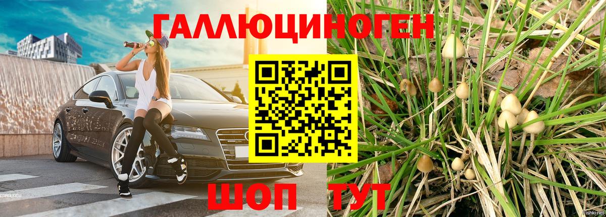 Междуреченск  Псилоцибиновые грибы мицелий  Вход с VPN 